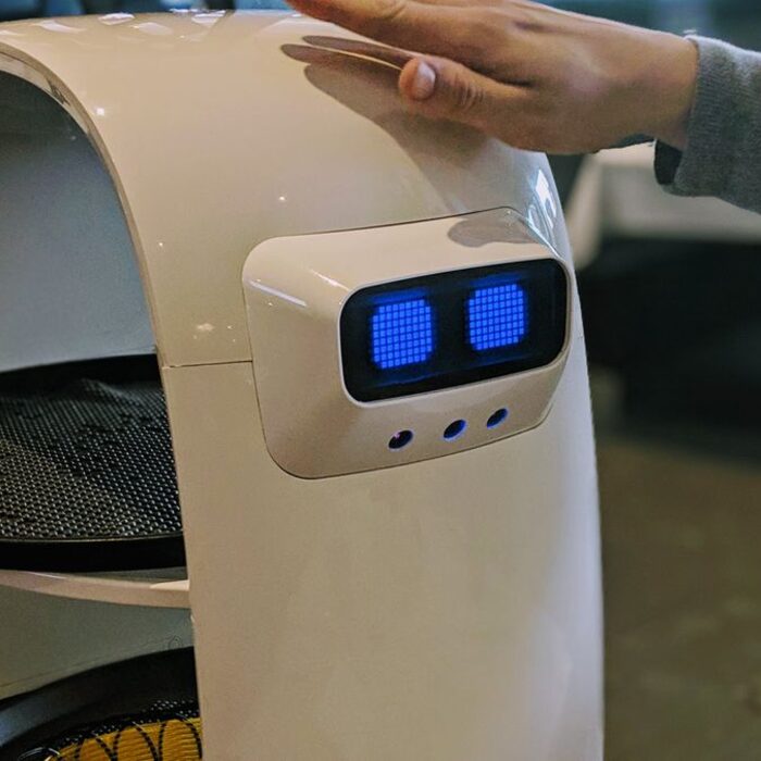 Front-of-house robot — Service robots